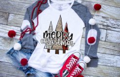 My favorite color is Christmas lights raglan