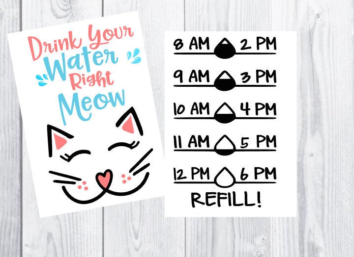 Water bottle decal, cat decal, meow, fitness tracker, water intake tracker, fitness decal, drink your water right meow, exercise sticker